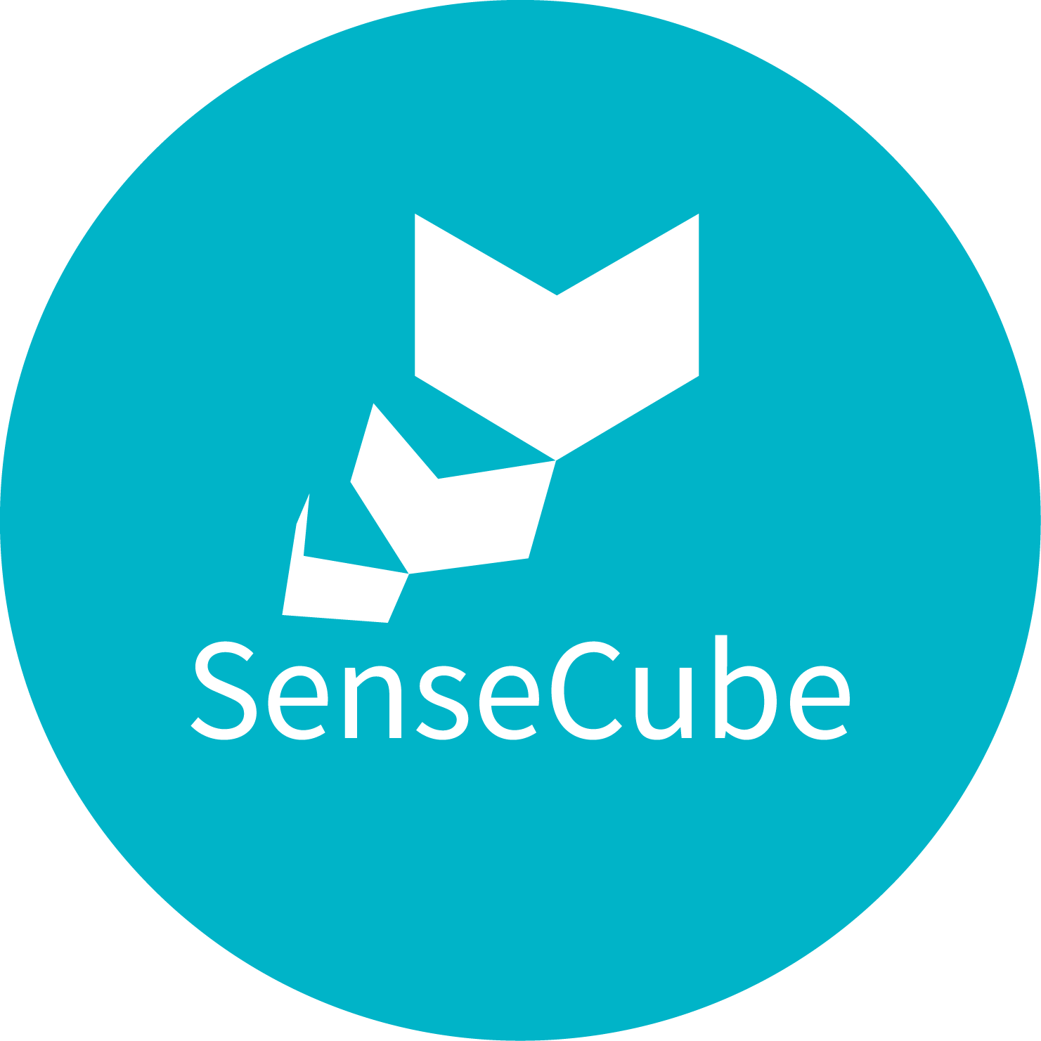 logo sense cube