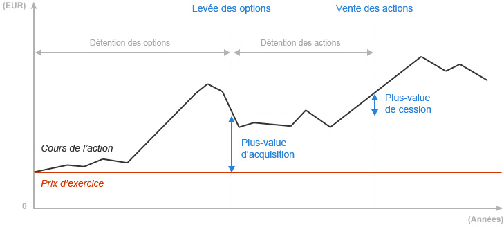 declarer plus value stock options